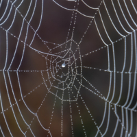 Карта Москвы....