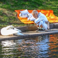 Белая меланхолия...