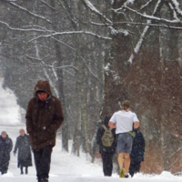 Что мне снег, что мне зной, что мне дождик...