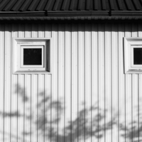 Опять небритый