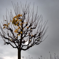 Осеннее солнце