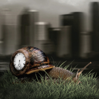 Не суетись...