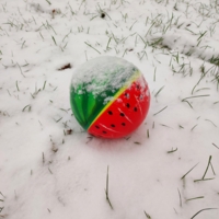 Мячик на снегу