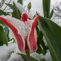 Вчера была весна