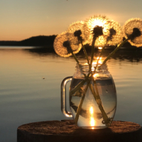 ... и маленький комарик