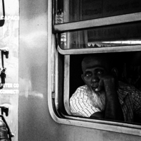 Экспрессия