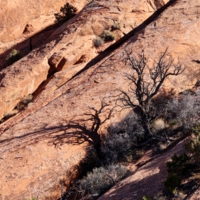 Тени на скалах