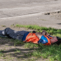 работа - не волк...