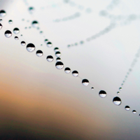 Из ночи протянулись в утро