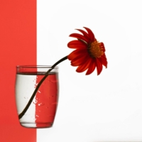 Геометрический этюд