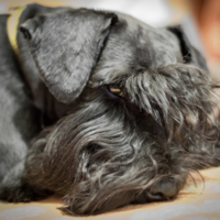 Мне этот мир абсолютно понятен...