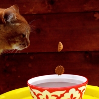 За мгновенье до