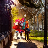 Солнечные шарики