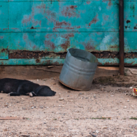 раздумья о жизни