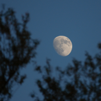 Меланхолия луны