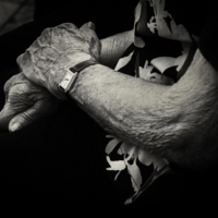 Мои года, моё богатство