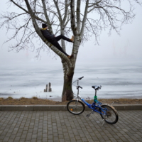 Без названия