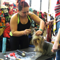 Конкурсная стрижка