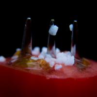 Мировой закусон!