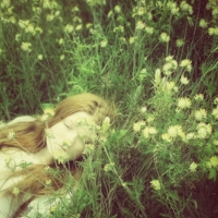 Цветами поля ей стелились под ноги,