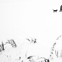 Без названия