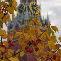 Осеннее время