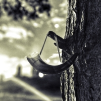 Важен только внутренний свет.