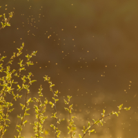 Тёплый, летний вечер