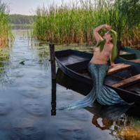 В тихой заводи....