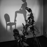 Обманчивая тень