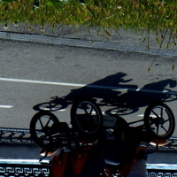 ЕХАЛИ МЕДВЕДИ НА ВЕЛОСИПЕДЕ