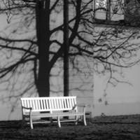 Под сенью тени