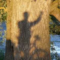 Здравствуй, Великая Ива!