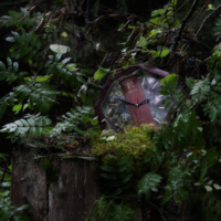 Потерянное время