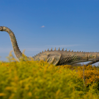 Очень далёкий предок ящерицы