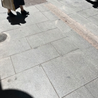 Пролетала птичка