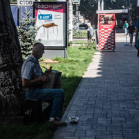 в тени света