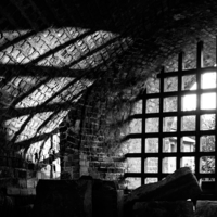 Свет в темнице