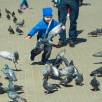 Детская радость