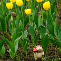 «Псих», — подумал Ёжик,