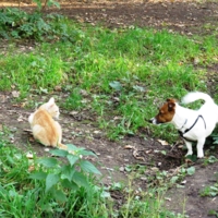 Случайная встреча