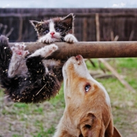 оперативная поддержка :)