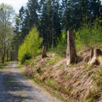 и мёртвые с косами стоят