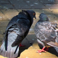 Поговорим...