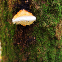 После дождя