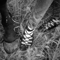 ghillies в поле