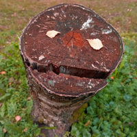 Улыбайтесь!!! Вас снимают!!!