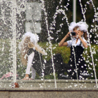 Веселая жизнь