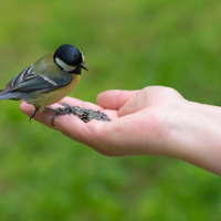 А очищенных нет?