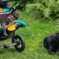 Охраняя сон младенца